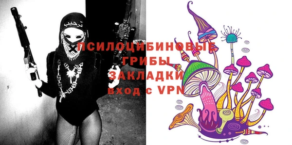 стаф Новодвинск