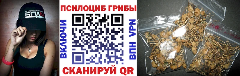 Псилоцибиновые грибы мицелий  hydra ONION  Петровск-Забайкальский 