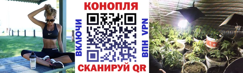 Каннабис OG Kush  Петровск-Забайкальский 